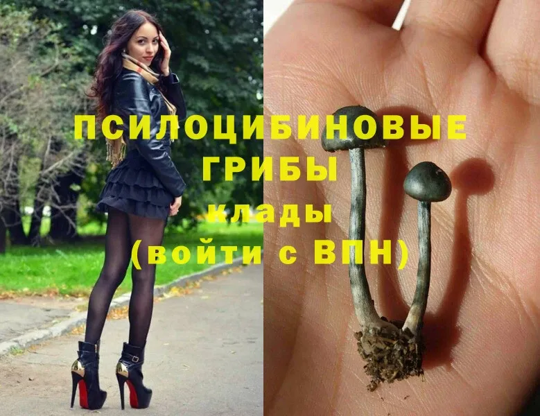 Галлюциногенные грибы Magic Shrooms  Покровск 